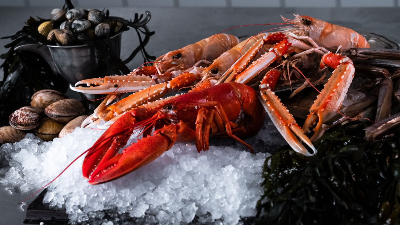 Johan i Hallen & Bergfalk-hero-background